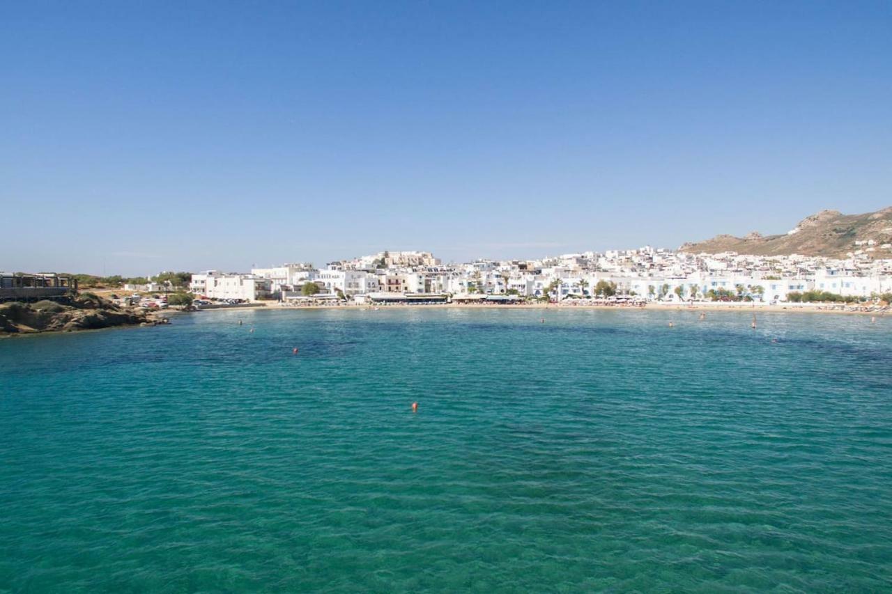 Castle View, Apartment Naxos City Dış mekan fotoğraf